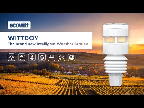 Ecowitt HP2564 Wittboy Pro WIFI Touch Button Display Weather Station with Ultrasonic Sensor